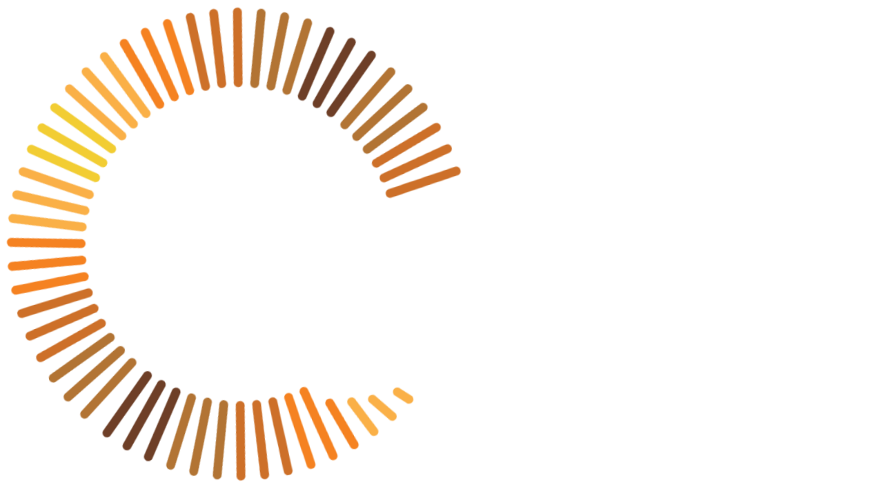 1AXIUM LLC logo
