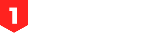 1FORCE GOVERNMENT SOLUTIONS LLC logo