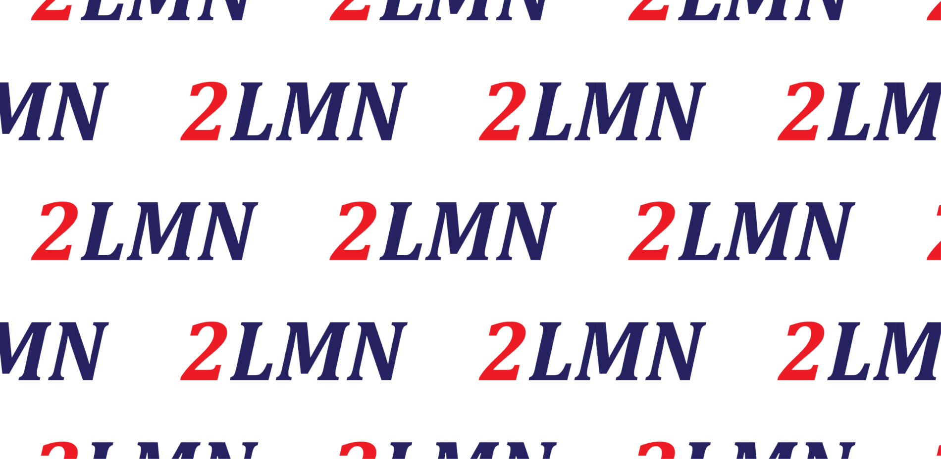 2LMN INC logo
