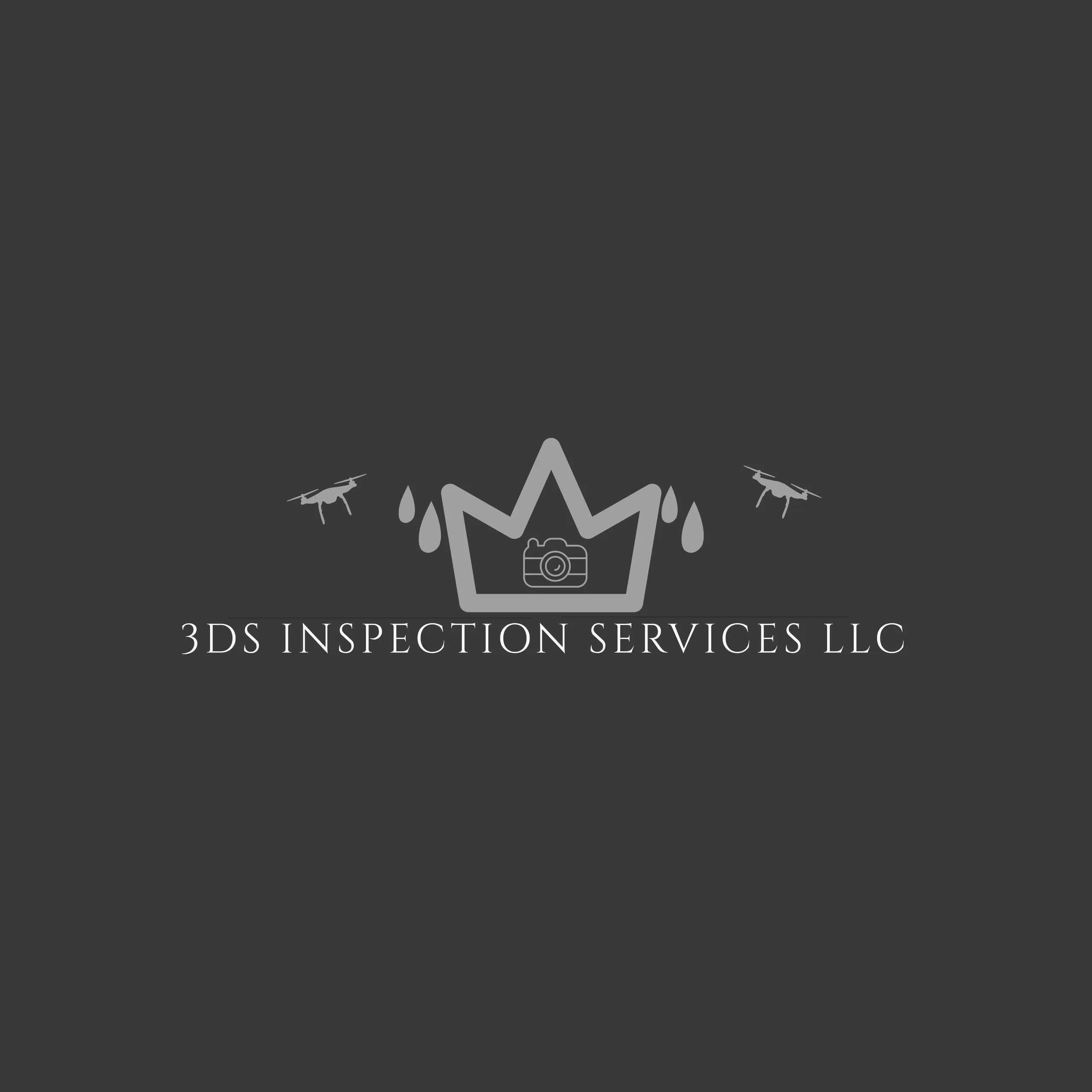3DS INSPECTION SERVICES LLC logo