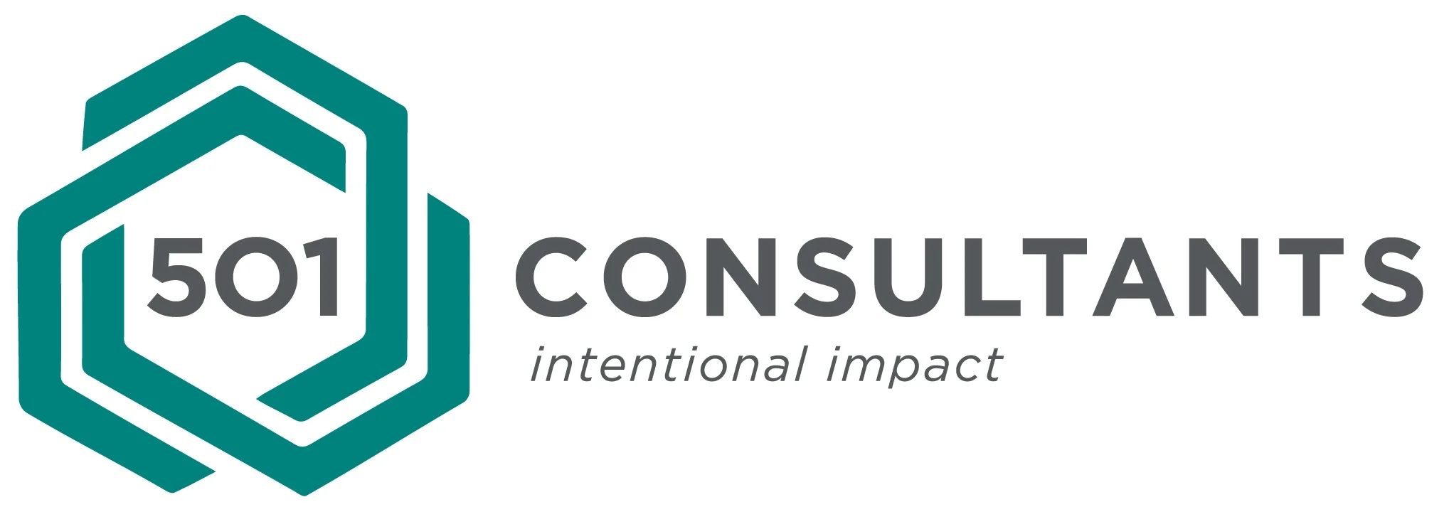 501 CONSULTANTS, INC logo