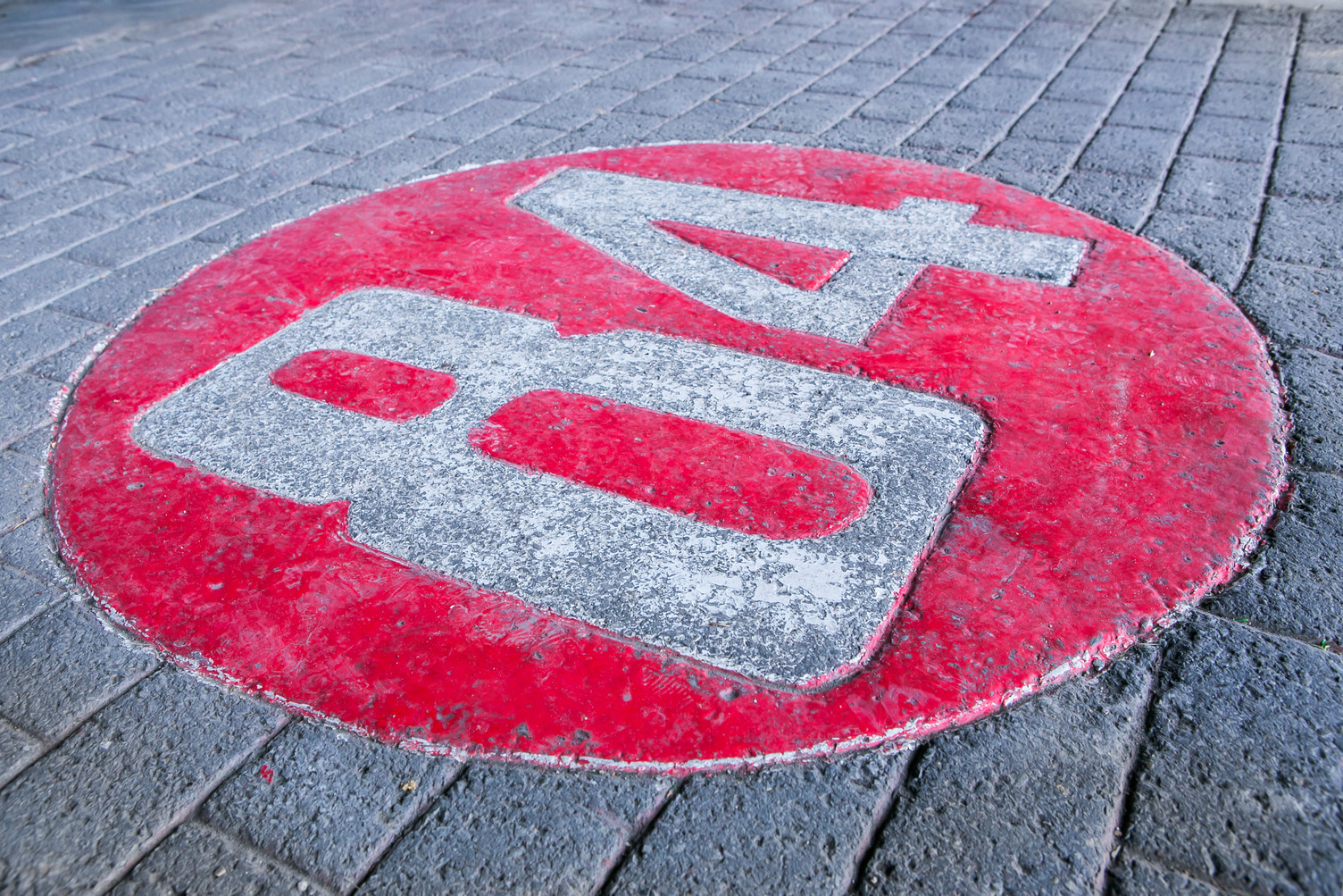 84 LUMBER COMPANY logo