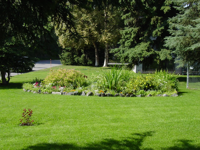A-1 LAWN & LANDSCAPING logo