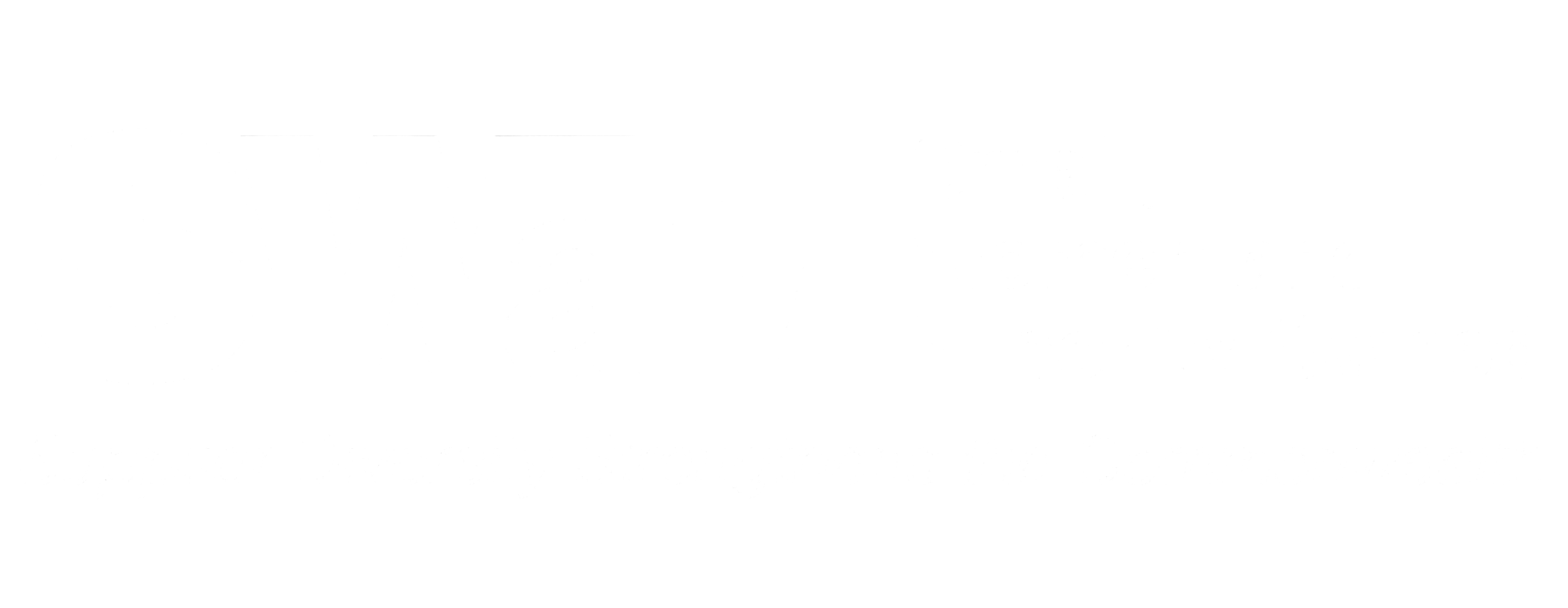 A11N HOLDINGS LLC logo
