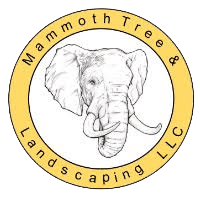 AAA MAMMOTH TREE & LANDSCAPING LLC logo