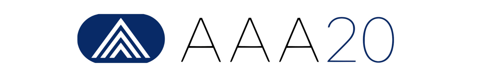 AAA20 GROUP LLC logo