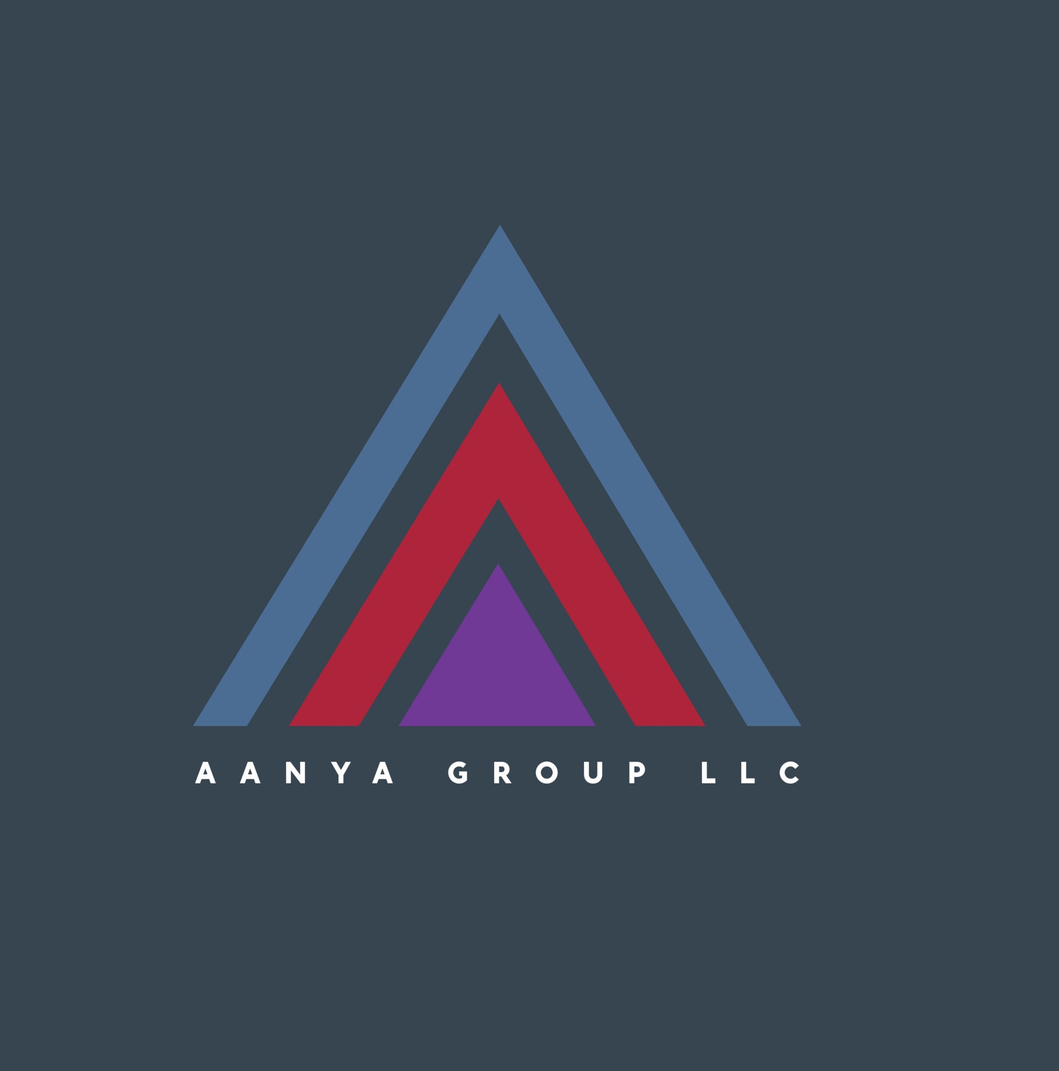 AANYA GROUP LLC logo
