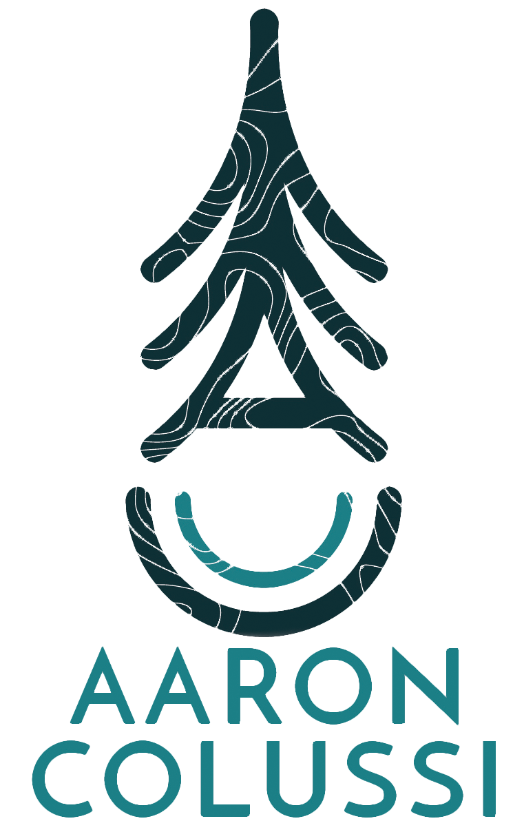 AARON COLUSSI LTD logo