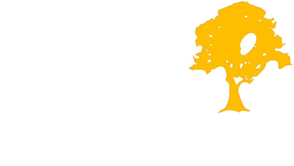 AARON'S LANDSCAPING & SNOW PLOWING, LLC logo