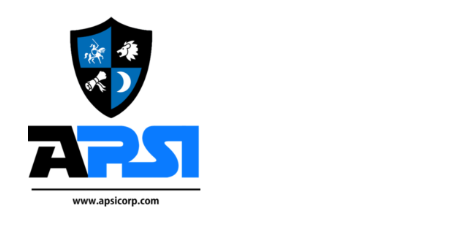 ACCELERATED PERFORMANCE SOLUTIONS INTEGRATED LLC logo