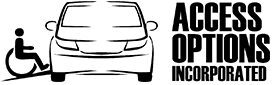 ACCESS OPTIONS INC logo
