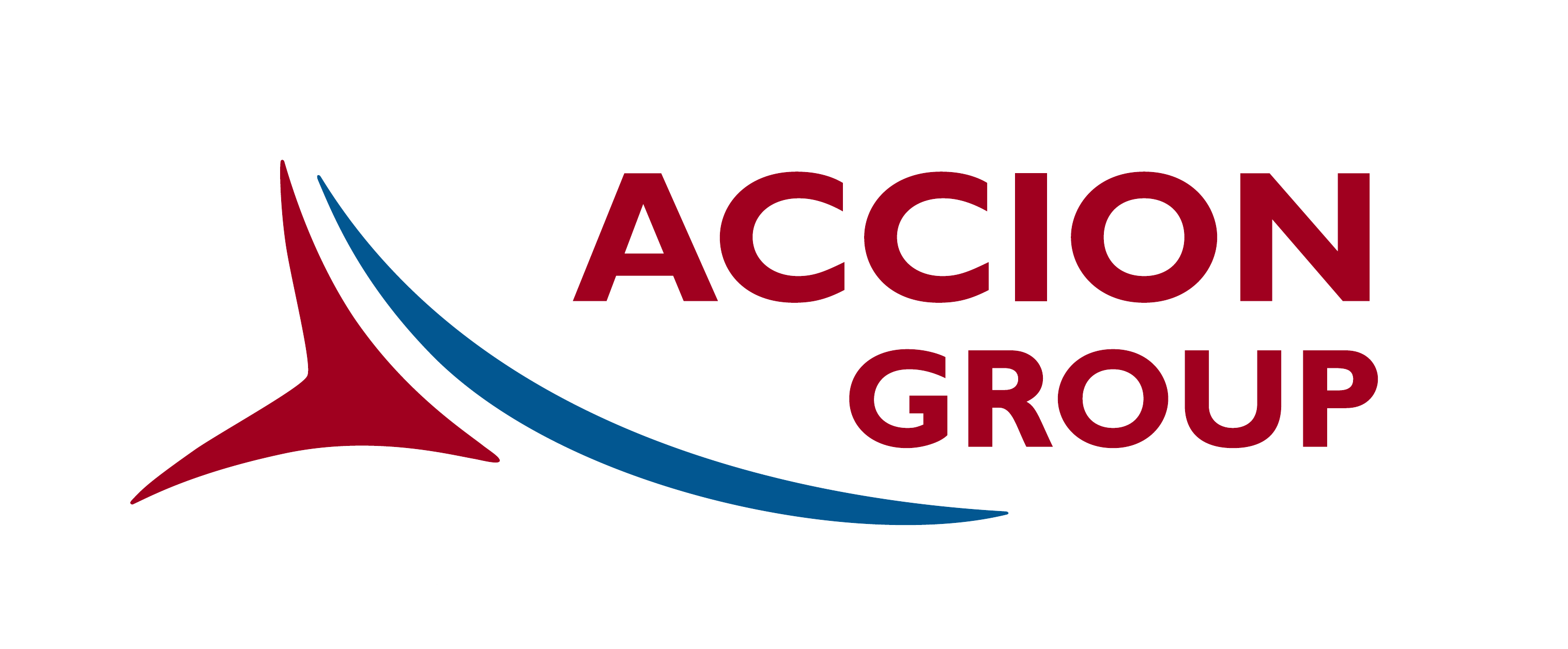ACCION GROUP, LLC. logo