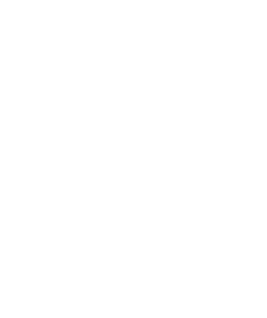ACCUZIP, INC. logo