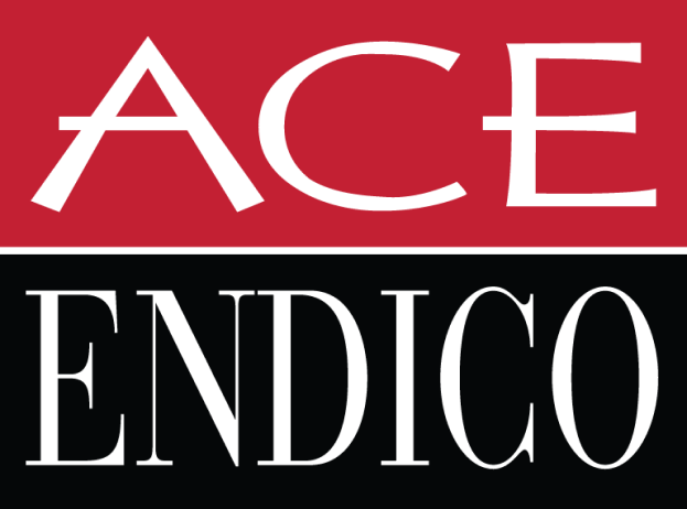ACE ENDICO CORP logo