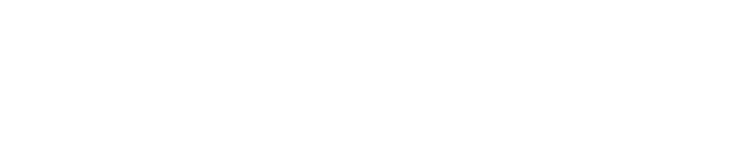 ACE WORLD WIDE OF NEVADA logo