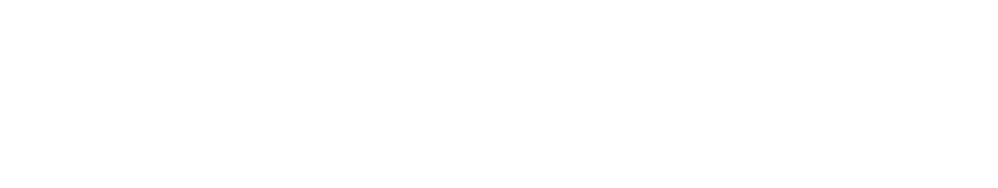 ACTINIA INC logo