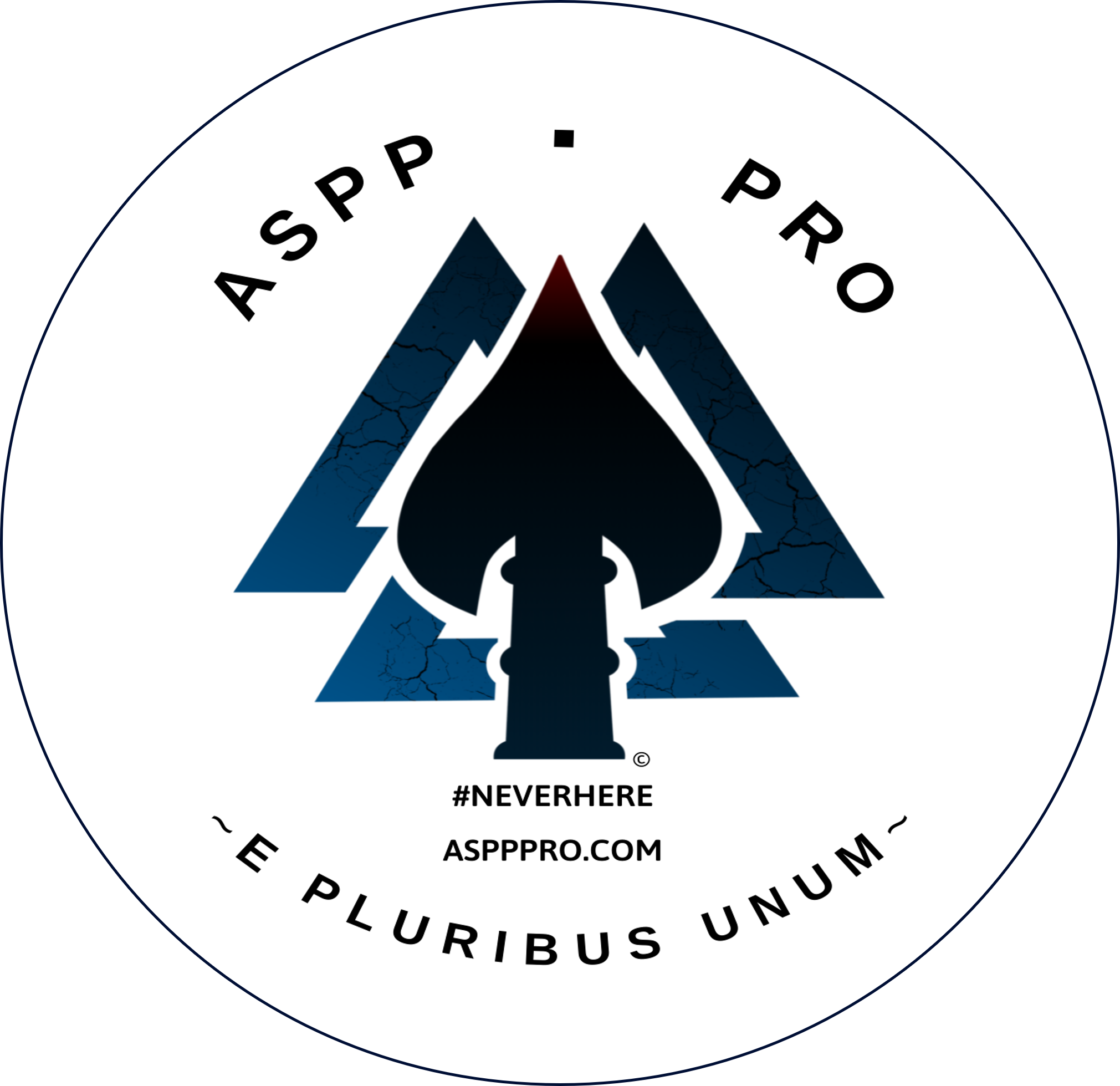 ACTIVE SHOOTER PREVENTION PROJECT (ASPP), LLC logo