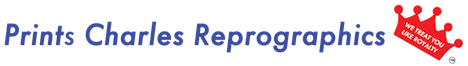 ADONAI PERAZIM INC logo