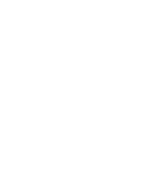 ADVANCED AMERICAN CONSTRUCTION, INC. logo