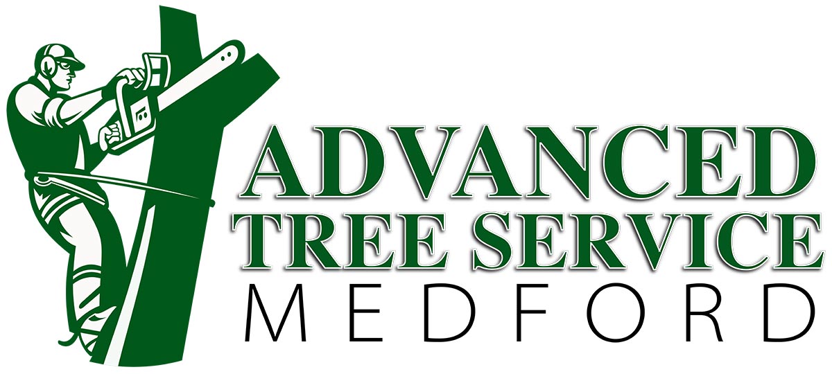 ADVANCED LANDSCAPE GROUP LLC logo