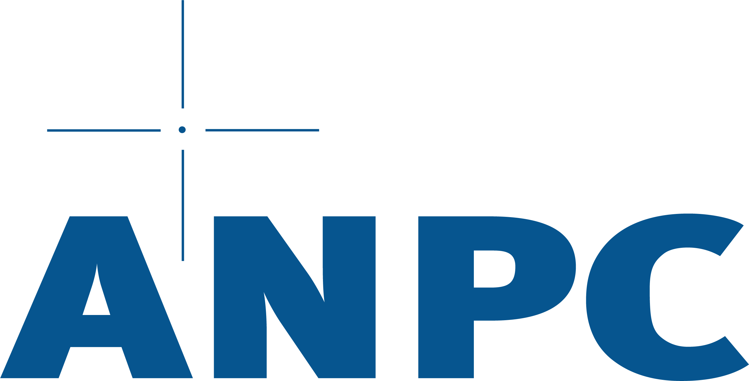 ADVANCED NAVIGATION & POSITIONING CORP logo