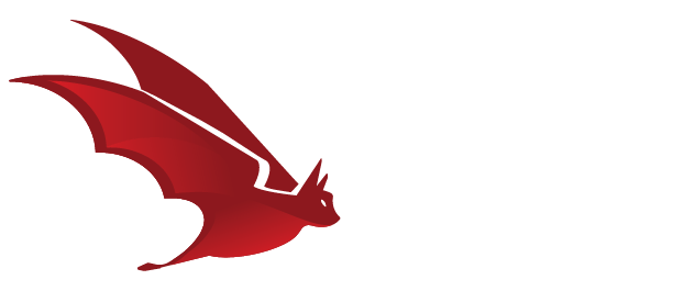 ADVANCED PERSISTENT INSIGHTS LLC logo