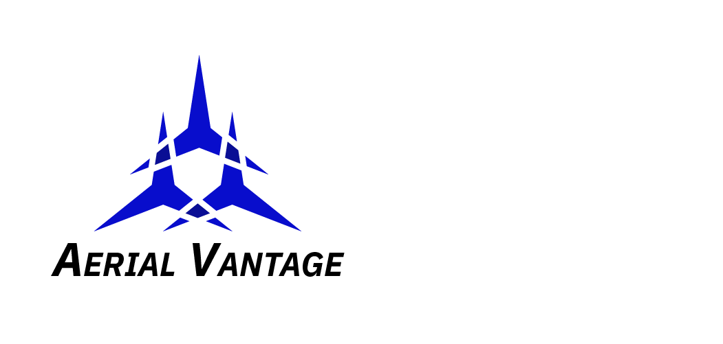 AERIAL VANTAGE INC logo