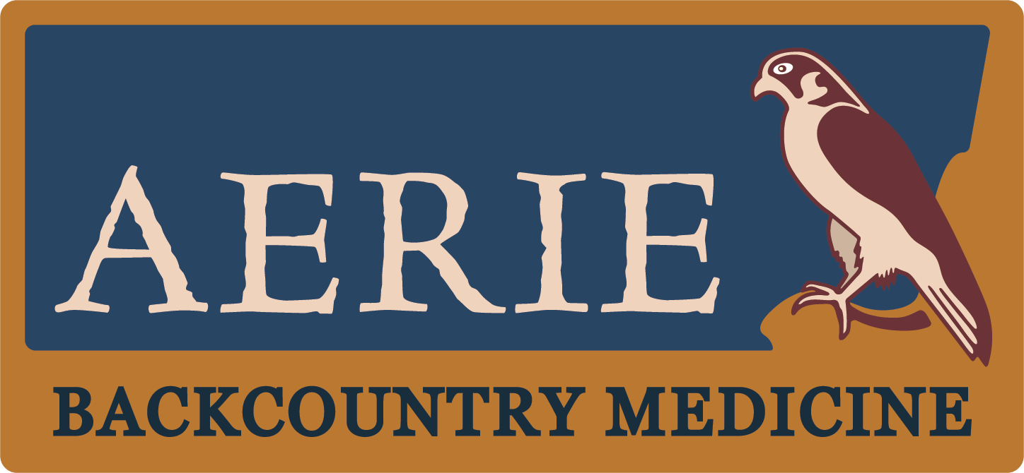 AERIE BACKCOUNTRY MEDICINE logo