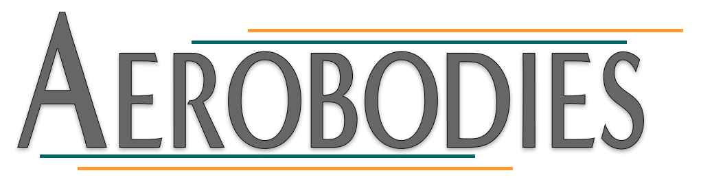 AEROBODIES FITNESS COMPANY, INC. logo