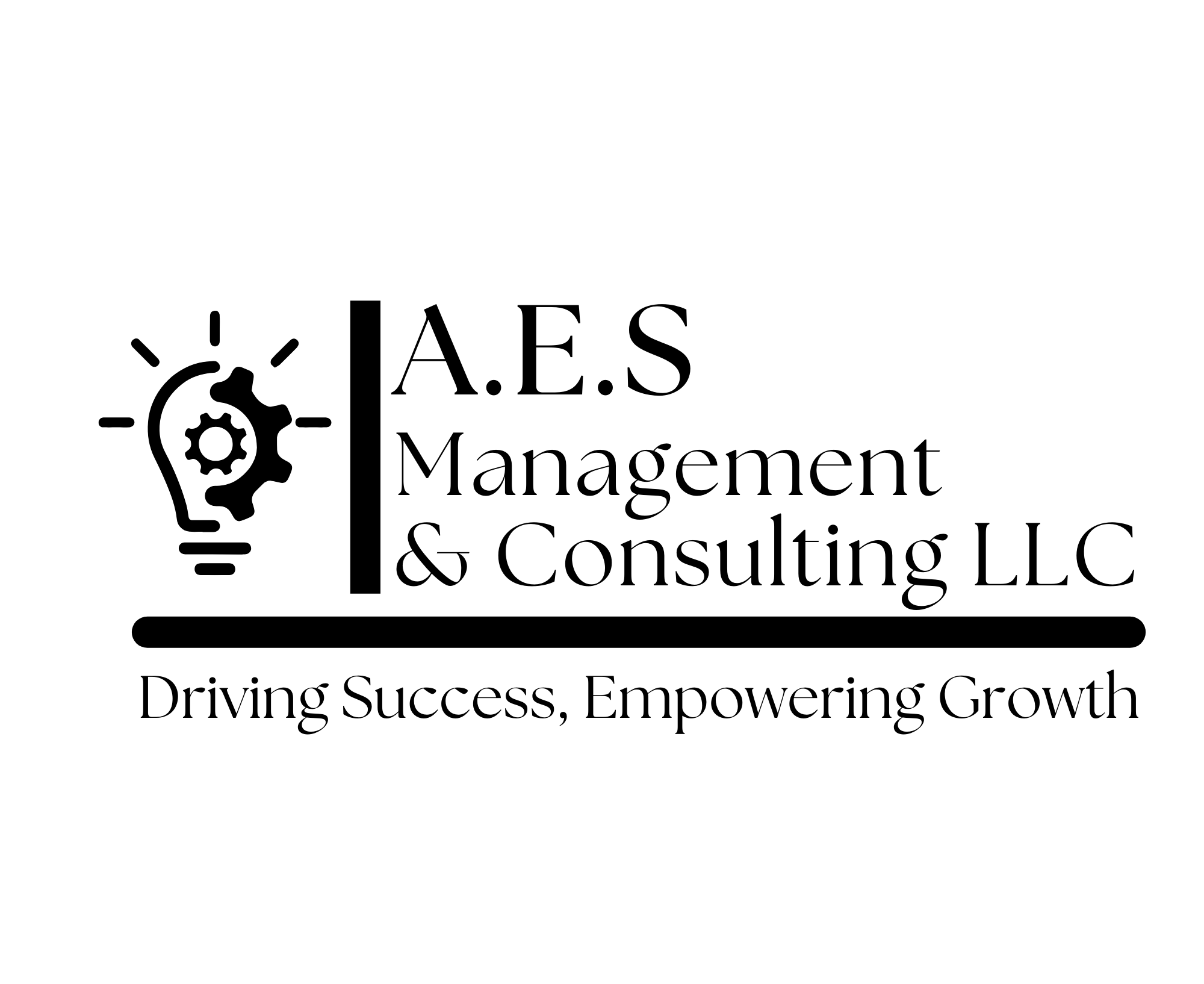 AES MANAGEMENT AND CONSULTING LLC logo