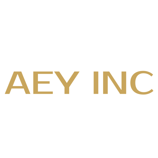 AEY INC. logo