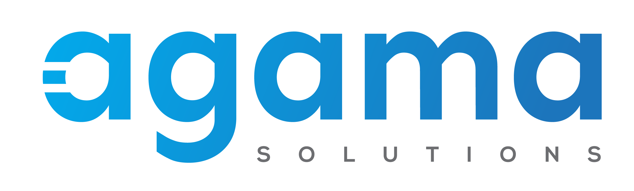 AGAMA SOLUTIONS INC logo