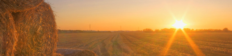 AGCO - MOORE VALUATION INC logo