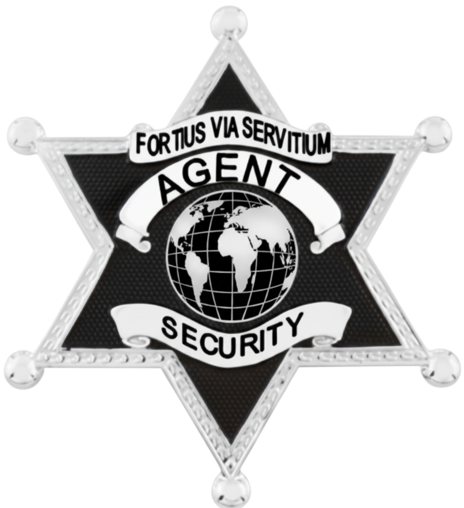 AGENT SECURITY INTERNATIONAL logo