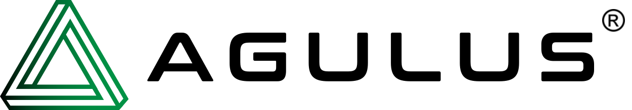 AGULUS INC logo