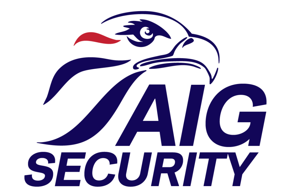 AIG SECURITY logo