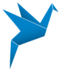 AKINA INC logo