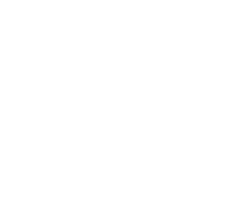 ALAMO HOTELS, INC logo