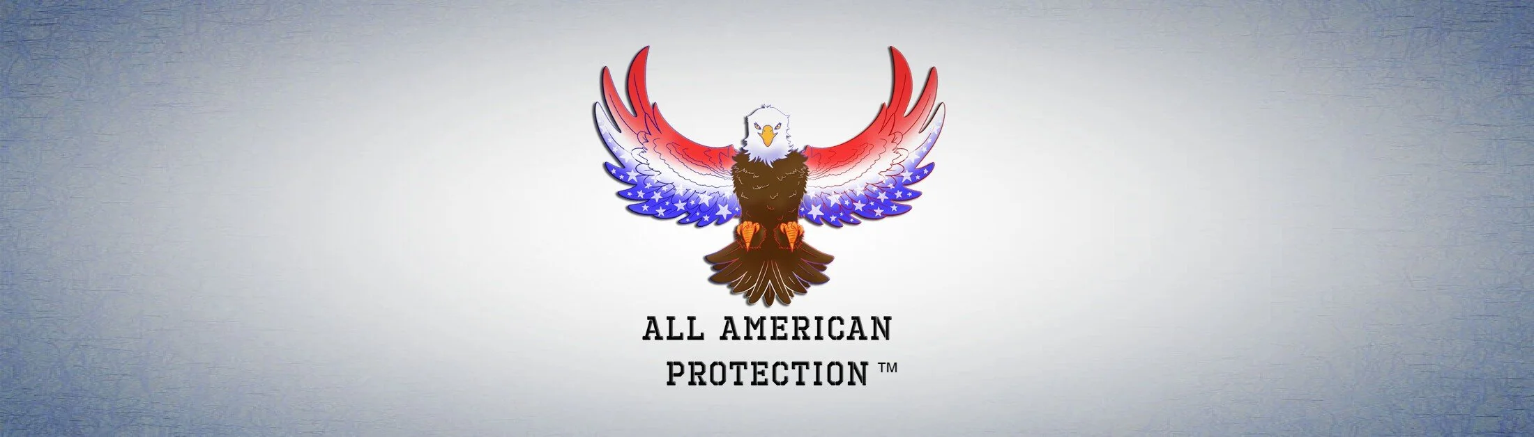 ALL AMERICAN PROTECTION LLC logo