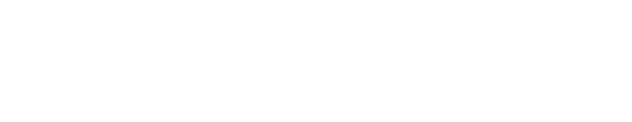 ALLIANCE OF CHICAGO COMMUNITY HEALTH SERVICES L3C logo