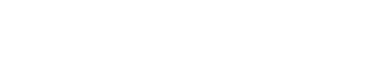 ALLIANCE OPTIX INC logo