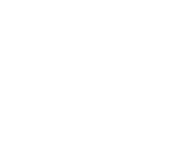 ALLIES PARTY EQUIPMENT RENTAL logo
