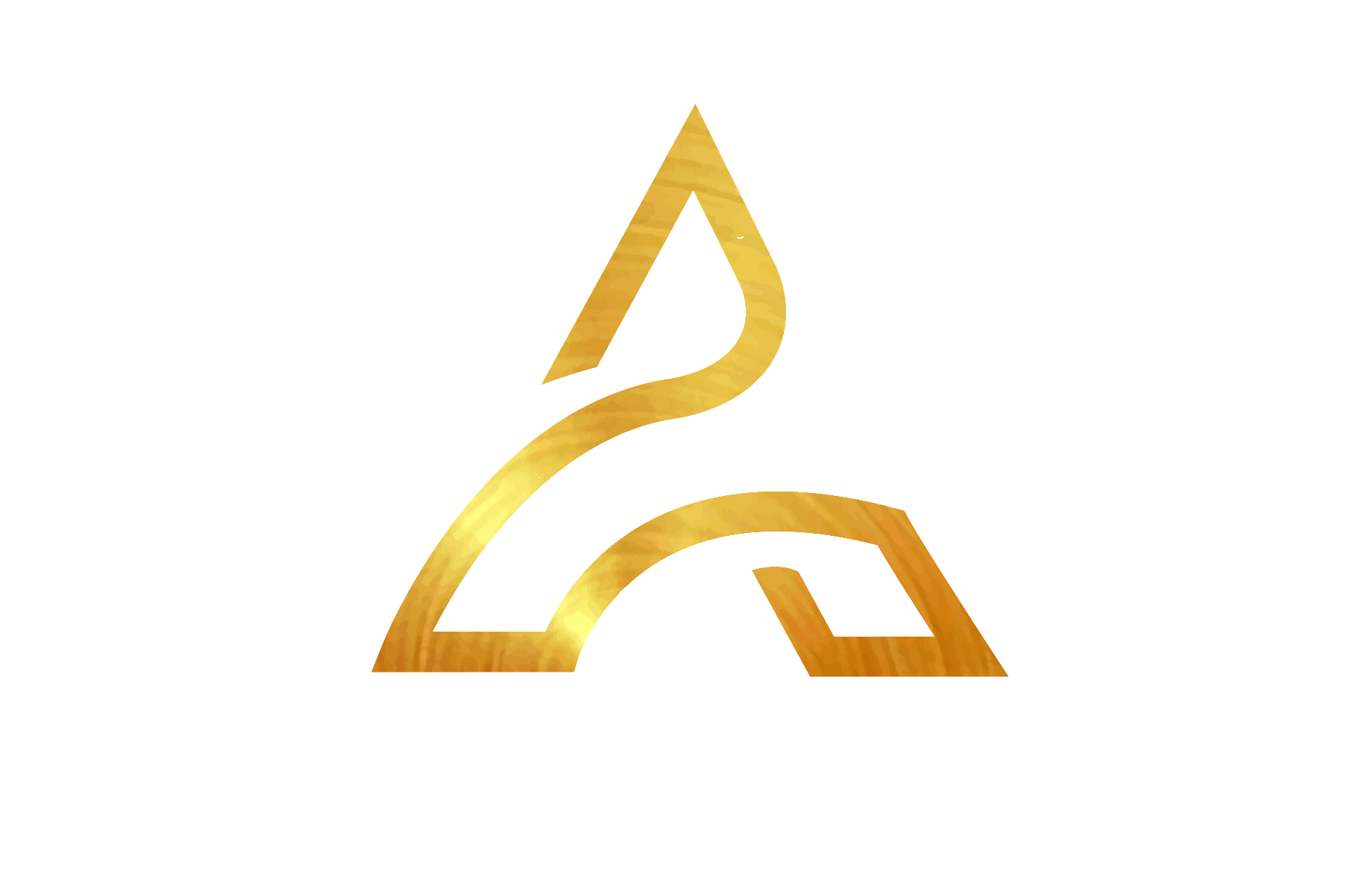 ALPHA PROTECTION SERVICES logo