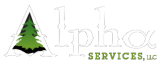 ALPHA SERVICES LLC logo