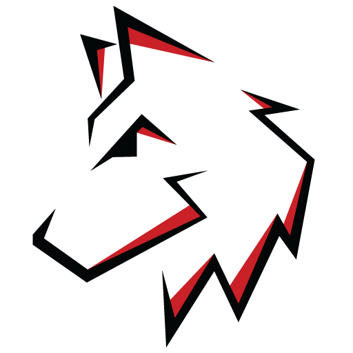 ALPHALYTICS LLC logo