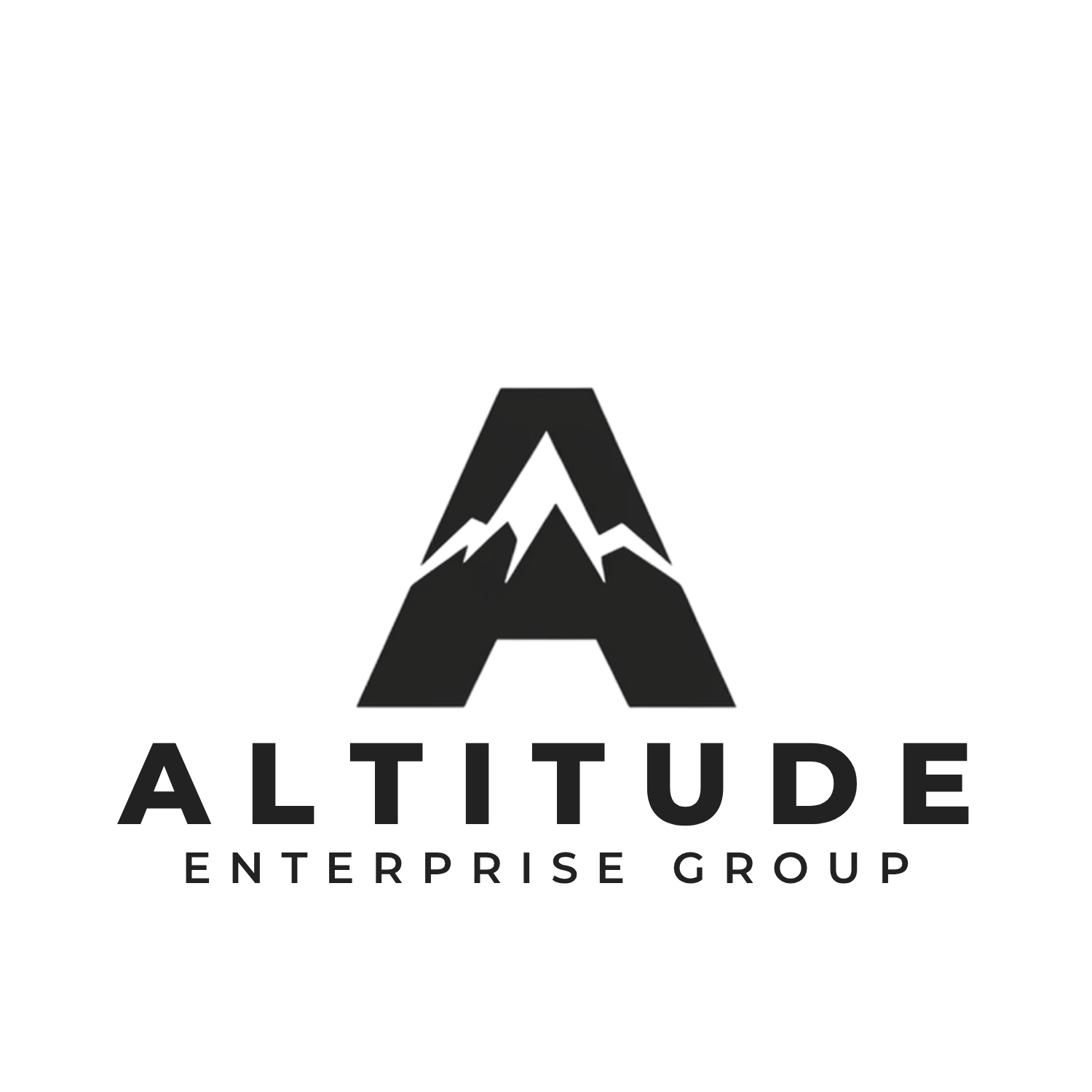 ALTITUDE ENTERPRISE GROUP LLC logo