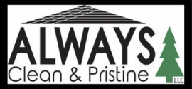 ALWAYS CLEAN & PRISTINE LLC logo