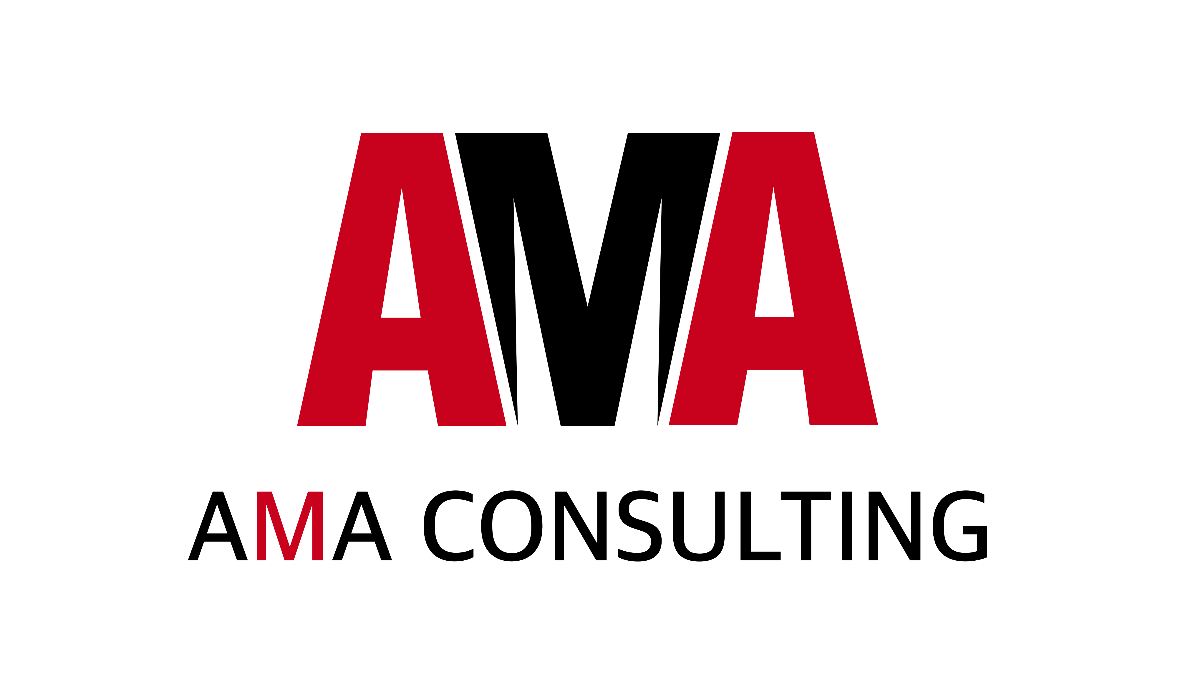 AMA CONSULTING logo