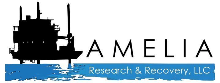 AMELIA RESEARCH & RECOVERY, LLC logo