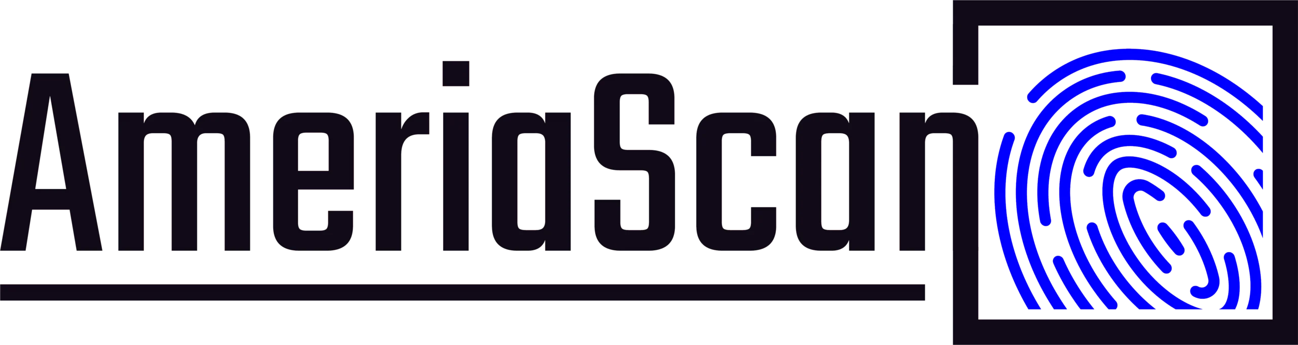 AMERIASCAN LLC logo